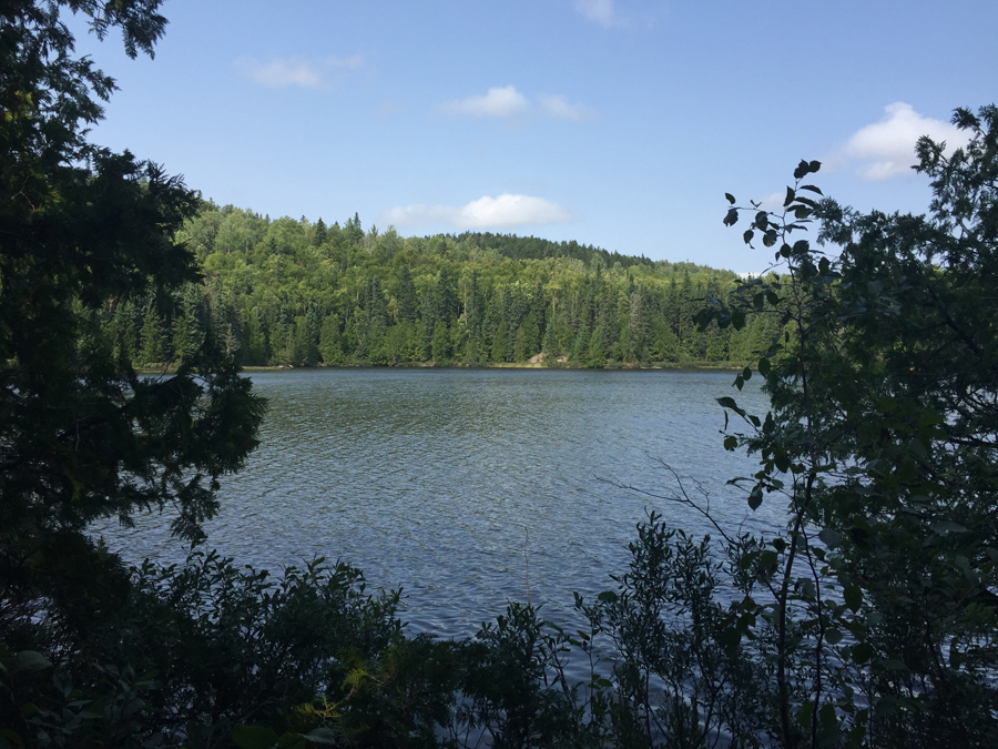 Eagle Mountain Trail view of Whale Lake